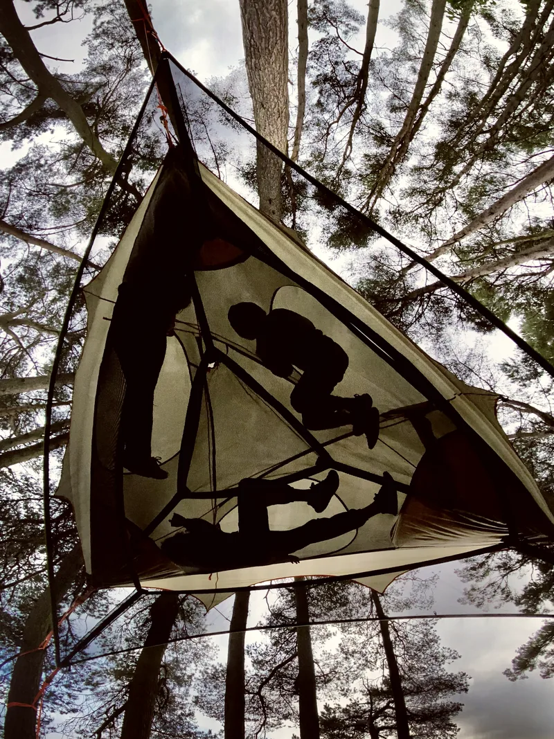 A suspended tree tent seen from below, slung between pines.